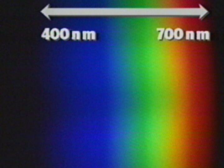 Visible and Infrared Spectrum: White Light Dispersed on a Spectrum Recorder