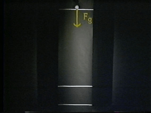 Gravitational Acceleration: Determination of “g”