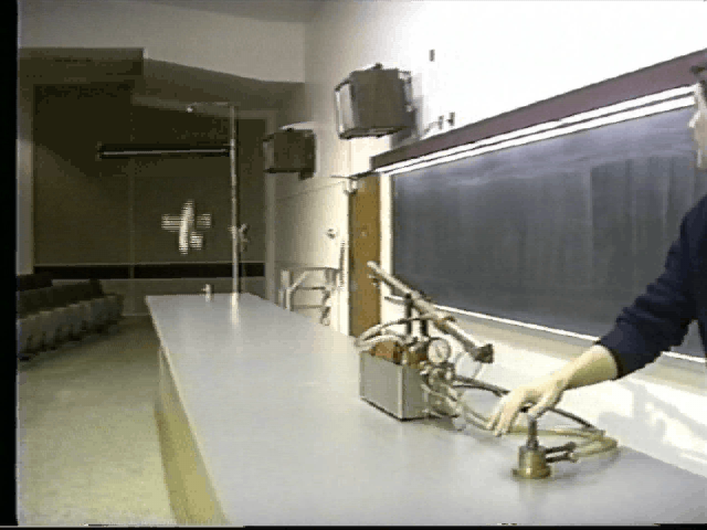 Projectile Motion: Monkey and Hunter
