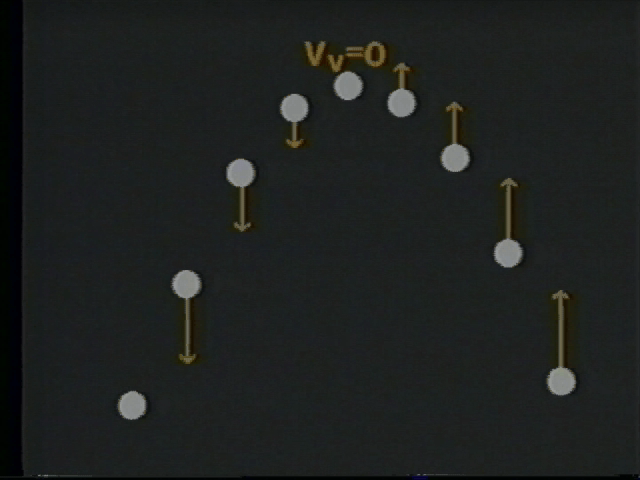 Projectile Motion: Trajectory of a Projectile