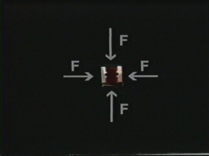 Newton’s 2nd Law: Effects of a Varied Net Force on a Body’s Motion
